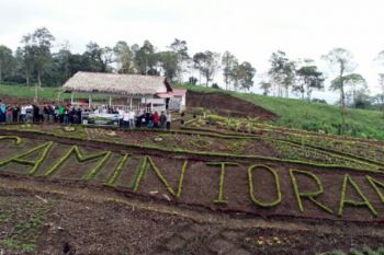 Rp12,85 miliar dialokasikan guna menata kawasan wisata terpadu Camintoran