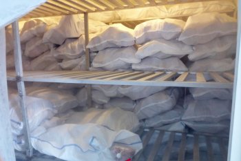 Bulog Sumsel Babel siapkan operasi pasar daging beku