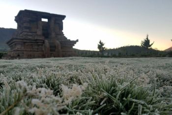 Banjarnegara optimalkan potensi pertanian untuk pariwisata
