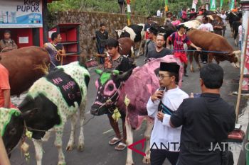 Cegah penyakit, Boyolali pantau peredaran hewan kurban