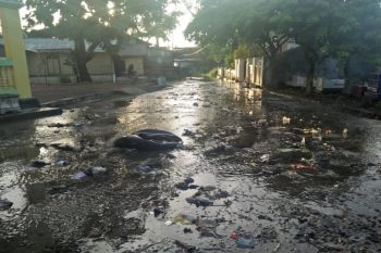 Kerugian terjangan gelombang pasang di Kulon Progo Rp956 juta