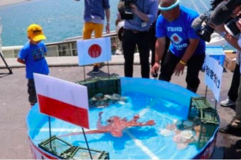 Gurita peramal dijadikan sashimi
