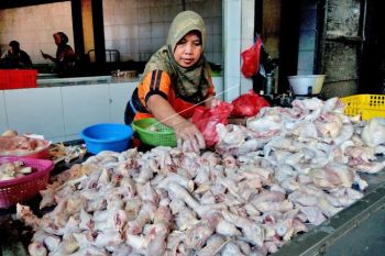 Harga naik, pedagang daging ayam di Solo mengeluh