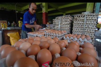 Harga telur ayam ras tembus Rp47.000 per rak di Padang