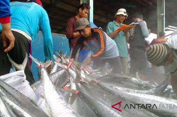 Turun, produksi perikanan tangkap di Pati