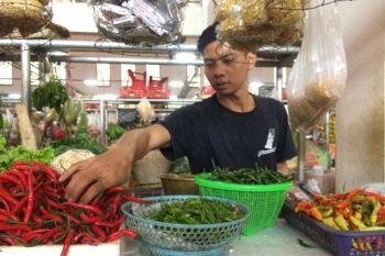 Pameran Kemana Harga Diri