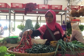 Musim kemarau pengaruhi kenaikan harga sayuran