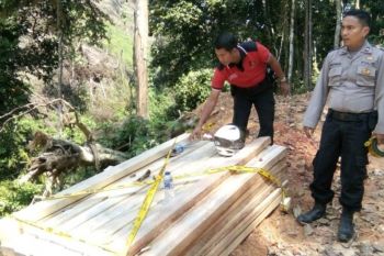 Polres Solok sita sekitar 5 kubik kayu di Aia Luo