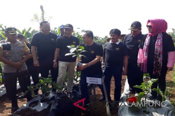 Ketua MPR ingatkan pemerintah perhatikan nasib petani