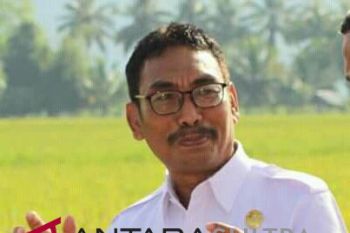 Bombana siapkan layanan aduan masyarakat secara online