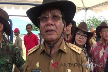 Gubernur: populasi sapi Sulteng capai 400.000 ekor