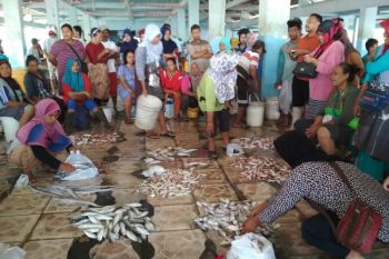 Cucaca Buruk, Lelang di TPI Jepara Sepi