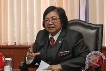 Menteri KLH: Freeport harus punya rekomendasi lingkungan