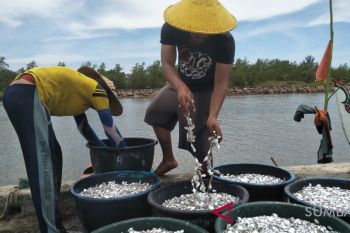 Poltekpel Sumbar targetkan latih 3.600 nelayan terkait keselamatan dan aturan menangkap ikan