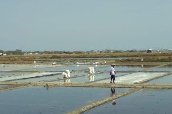 Cuaca panas, petani mulai produksi garam