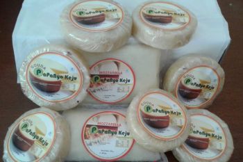 Padang Panjang menargetkan produksi 100 kilogram keju