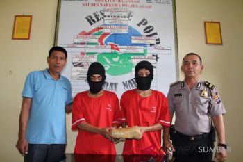 Dua pengedar ganja, satu masih berstatus pelajar di Pariaman ditangkap Polres Agam