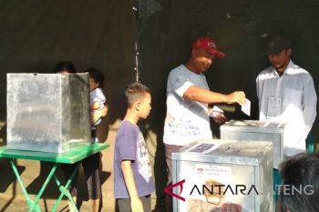 Meningkat, partisipasi pemilih Pilkada Kudus capai 84,53 persen
