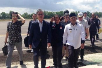Menteri Kehutanan Korsel kunjungi hutan tanaman industri Kobar