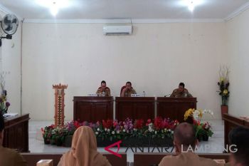 Waykanan tingkatkan pengembangan kopi robusta putri malu
