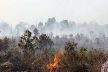  BMKG Deteksi 103 Titik Panas di Riau 