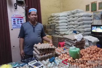 Sempat melonjak, harga telur di Buntok  mulai stabil