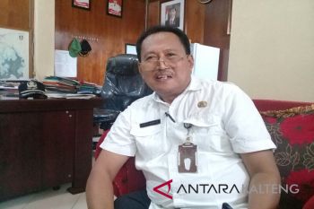 Petani Kotim cemas 200 hektare padi dilanda kekeringan
