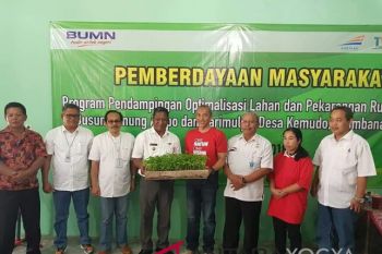 BUMN  bantu optimalisasi lahan pekarangan
