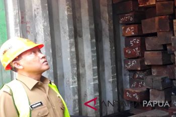 Diduga ilegal 69 kontainer kayu ditahan