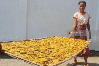 Bahan Baku Ikan Asin Sulit Didapatkan di Probolinggo