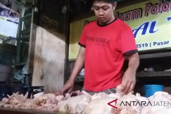 Pasokan lancar, harga daging ayam mulai turun