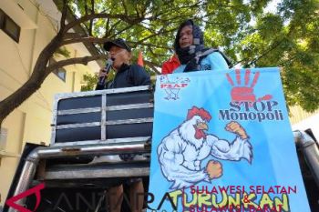 P2AP Makassar protes monopoli distribusi ayam pedaging
