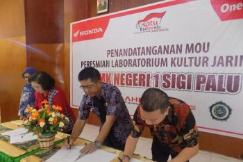 SMKN 1 Sigi 'Go Green With Honda'