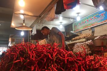 Harga cabai merah di Pasar Raya Padang turun