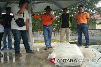 Kotim miliki kolam penyangga bantu tanggulangi inflasi
