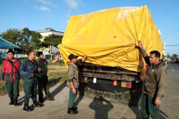 KLHK Sulawesi amankan kayu ilegal