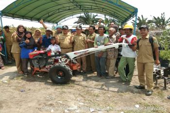 Dinas Pertanian Kotim bagikan 50 traktor dengan memprioritaskan ini