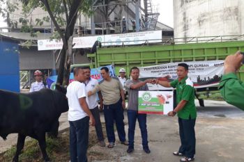 PT. Semen baturaja serahkan hewan kurban