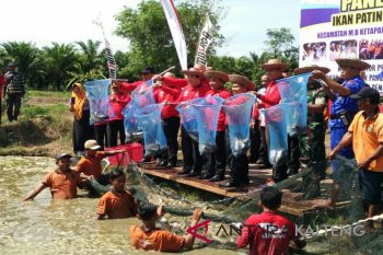 Sukses budidaya ikan, Kotim digelontor bantuan sebanyak ini