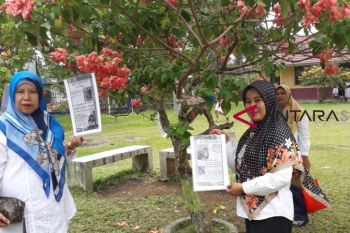 Literasi pohon ajak siswa gemar membaca