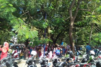 Imam Bonjol Padang dipenuhi siswa menggambar dan mewarnai