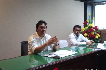 PLN klaim sistem Jayapura surplus 25 MW