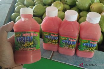 Jus jambu belum terbukti secara ilmiah naikkan trombosit
