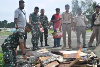 Satgas Yonif 501 Kostrad musnahkan kulit buaya ilegal