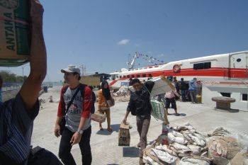 Mudik Idul Adha