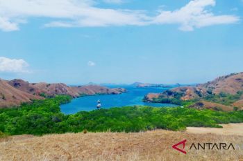Gubernur berkomitmen ikut kelola wisata Komodo