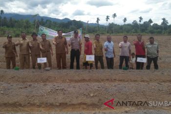 Petani Padanggelugur Pasaman galakkan tanam bawan merah