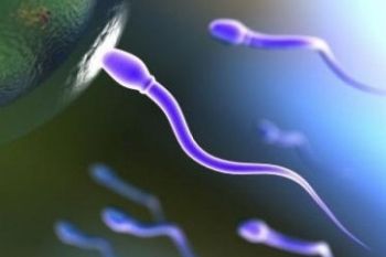 Ingin jumlah sperma lebih banyak?