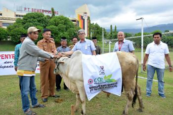 Semen Padang bagikan 23 hewan kurban kepada masjid dan mushalla di lingkungan perusahaan