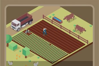 Kenaikan NTP Tidak Berdampak pada Keuntungan Petani